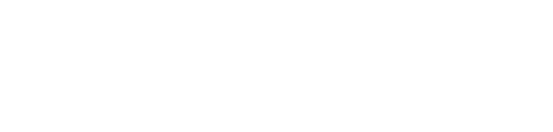 Noah Insurance Group