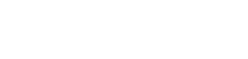 Noah Insurance Group
